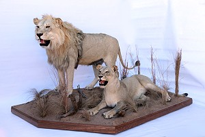 Scene Mounts