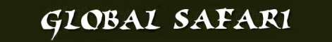 Global Safaris