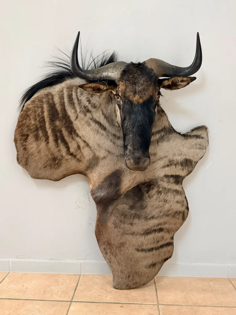 Custom Mounts by Savuti Taxidermy